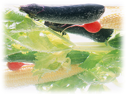 国産食材へのこだわり